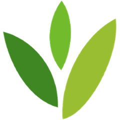 org.seedstack.addons.modelmapper