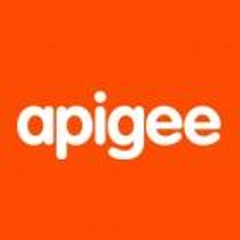 com.apigee.edge.config