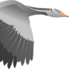 io.github.kerubistan.kroki