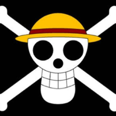 com.github.onepiecex