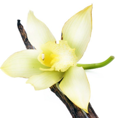 com.vanillasource.jaywire